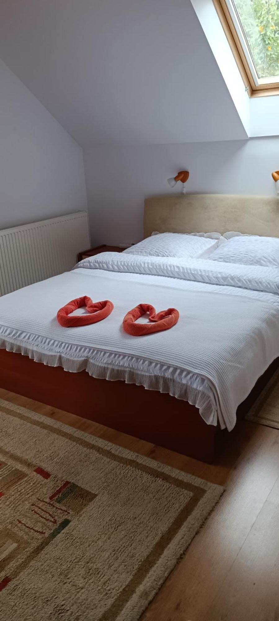 Pasager House Apartman Szováta Kültér fotó