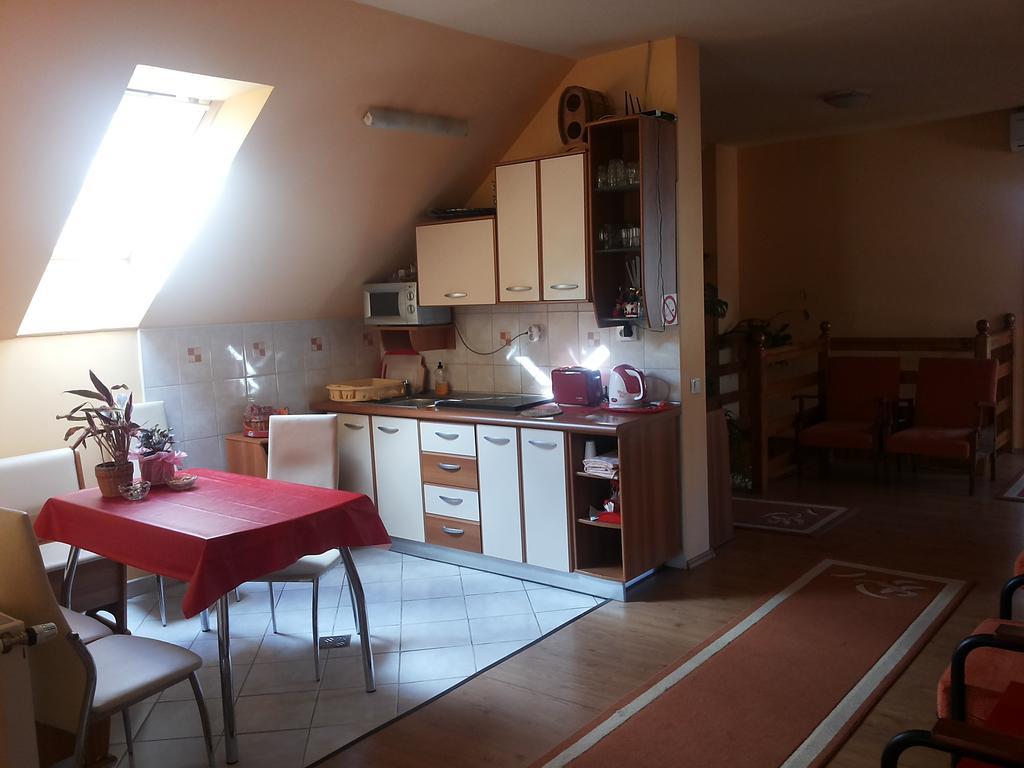 Pasager House Apartman Szováta Kültér fotó