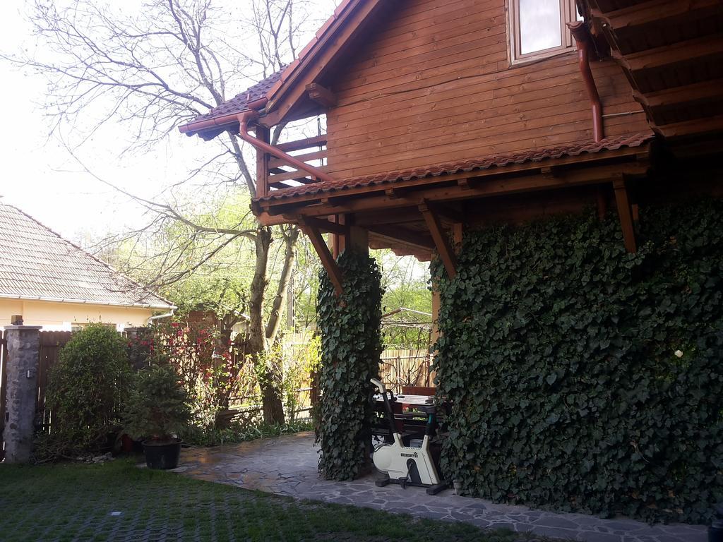 Pasager House Apartman Szováta Kültér fotó