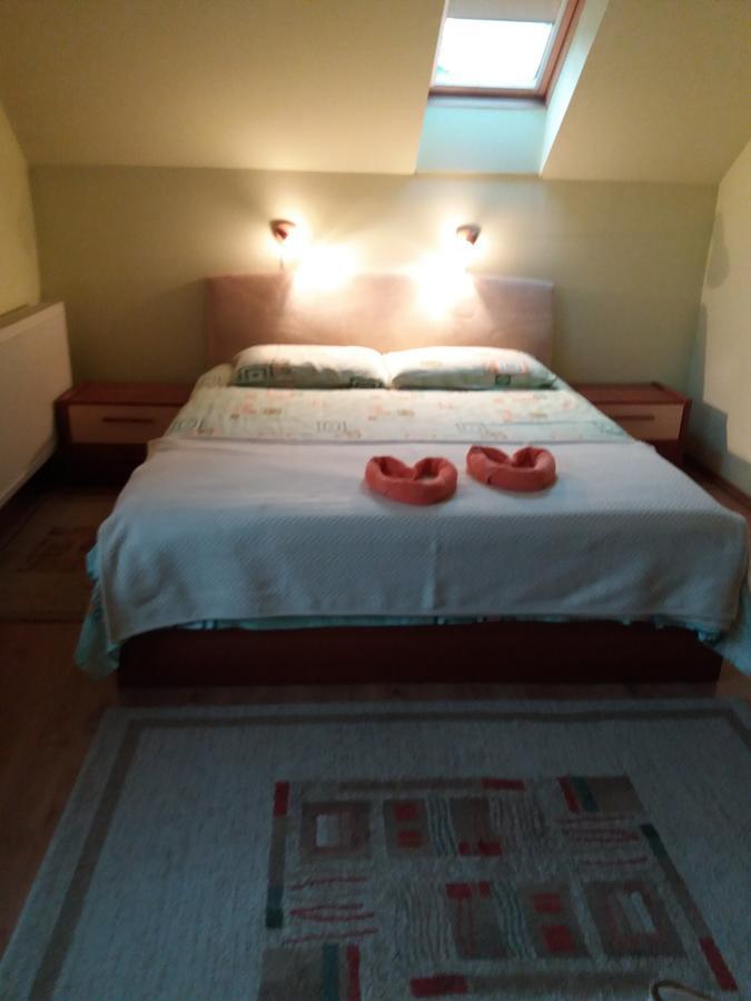 Pasager House Apartman Szováta Kültér fotó