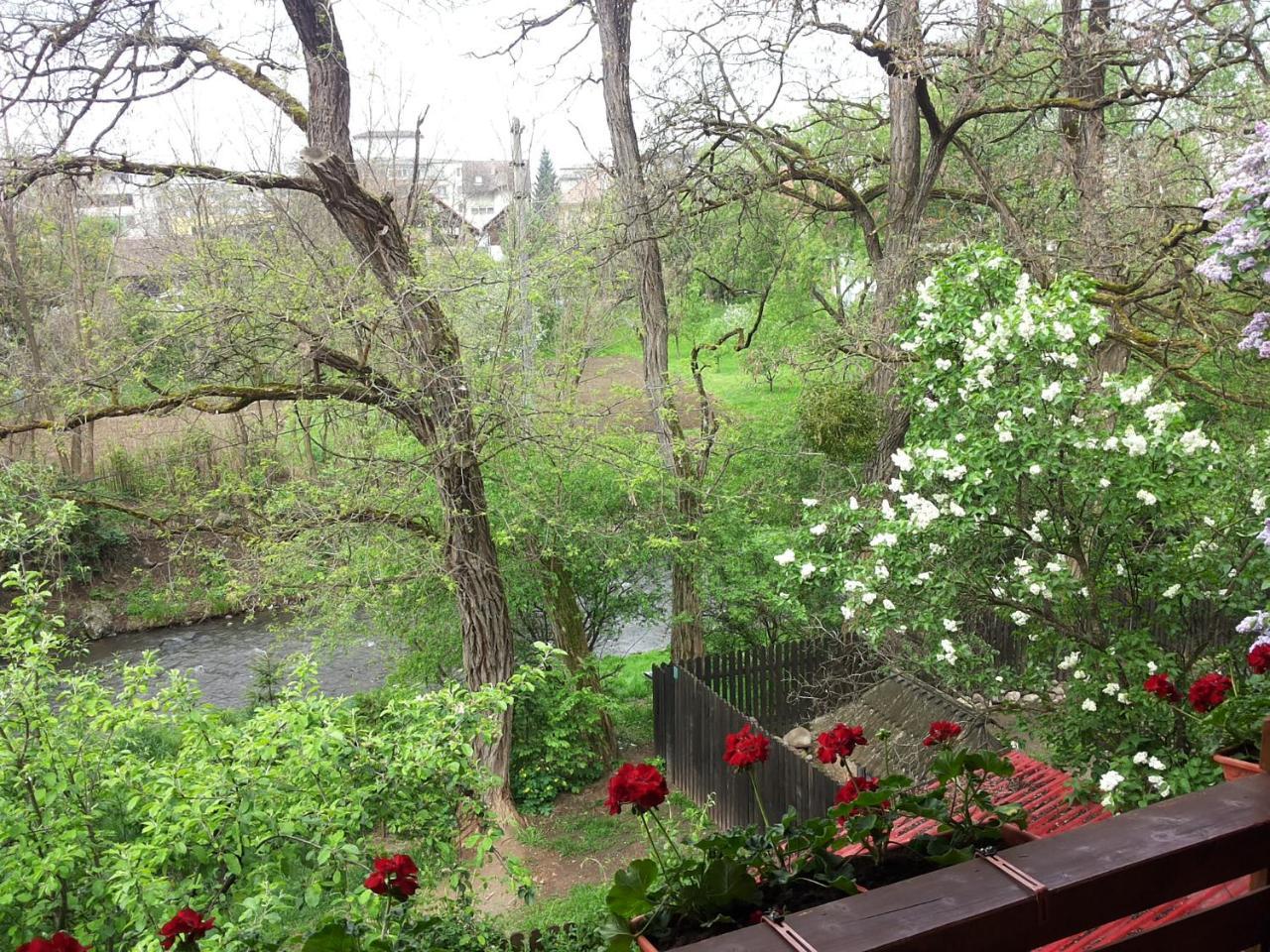 Pasager House Apartman Szováta Kültér fotó