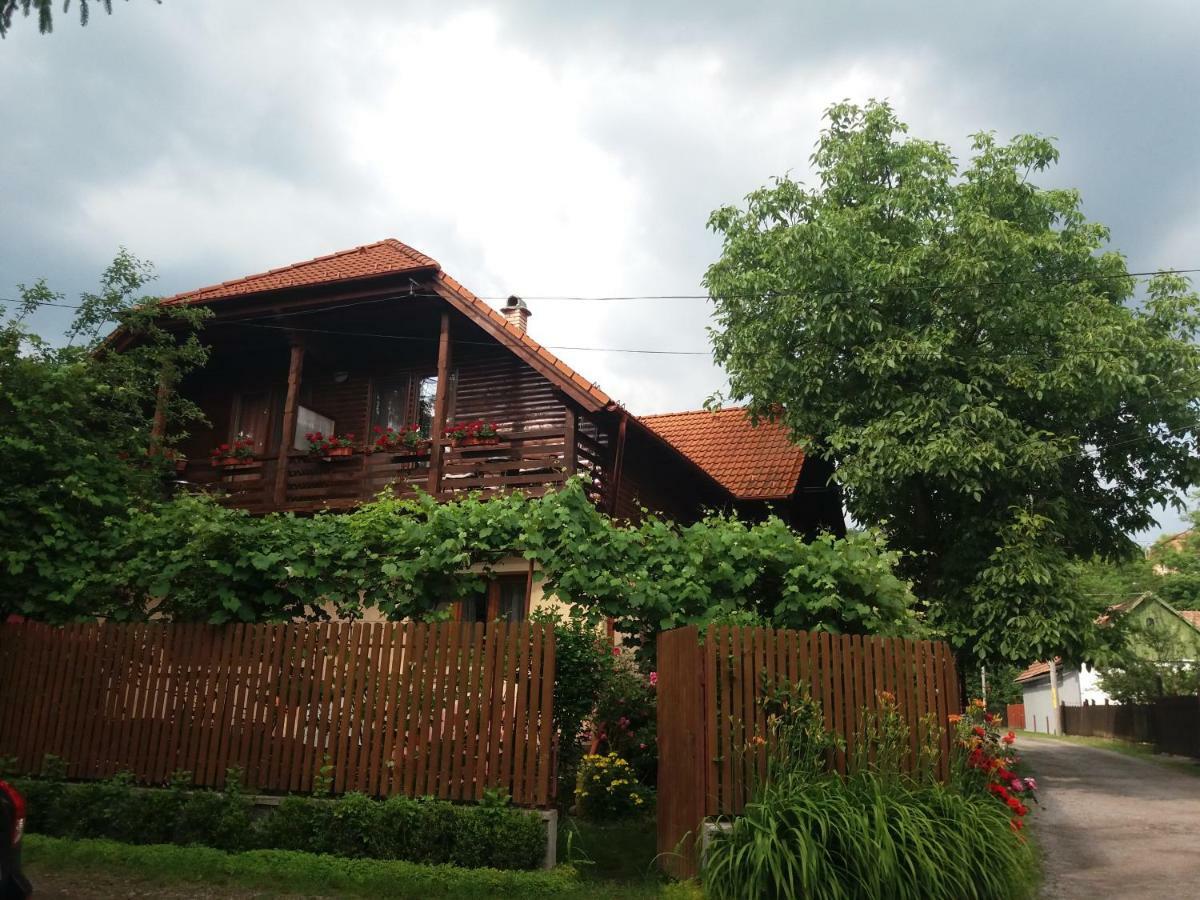 Pasager House Apartman Szováta Kültér fotó